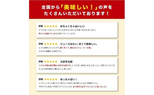 鳥取県鳥取市のふるさと納税 新甘泉 5キロ【安田農園】