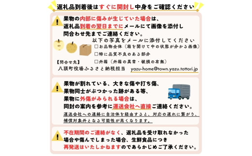 鳥取県八頭町のふるさと納税 【訳あり】王秋梨 4kg