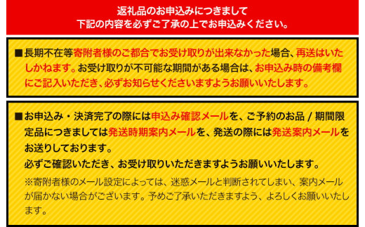 ジョイフル ハンバーグ てりやきソース ペッパー付き 6個