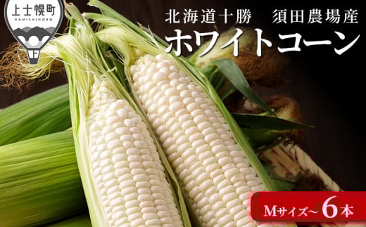 北海道産ホワイトコーン 計6本 上士幌町須田農場 白いスイートコーン とうもろこし ◆2025年08月配送予定 ［010-V61］ ※オンライン申請対応 1340490 - 北海道上士幌町