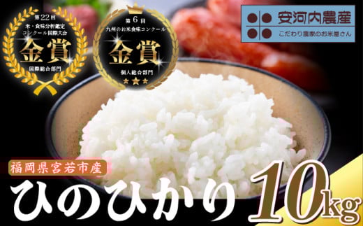 【先行予約】【10月下旬より順次発送】ヒノヒカリ 10㎏〈安河内農産〉新米 宮若うまい米 M791 2083429 - 福岡県宮若市