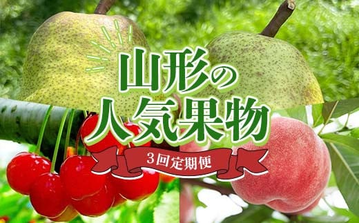 山形の人気果物3回便 FSY-2242