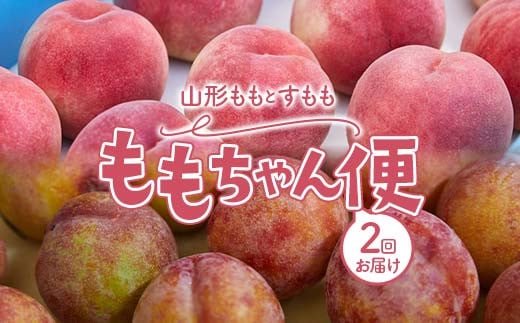 山形 ももとすももの ももちゃん便 FSY-2243