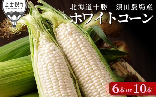北海道産ホワイトコーン 6本 or 10本 上士幌町須田農場 白いスイートコーン とうもろこし ◆2025年08月配送予定 ※オンライン申請対応