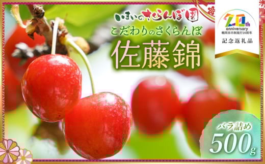 【令和7年産先行予約】こだわりのさくらんぼ 「佐藤錦」 バラ詰め 500g いまいのさくらんぼ園 K-728 【市制施行20周年記念返礼品】 2087681 - 山形県鶴岡市