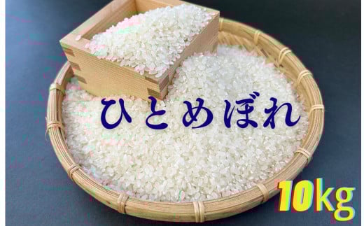 【予約受付中・令和7年11月頃から発送】農家直送　米 ひとめぼれ　10kg【及川産業】