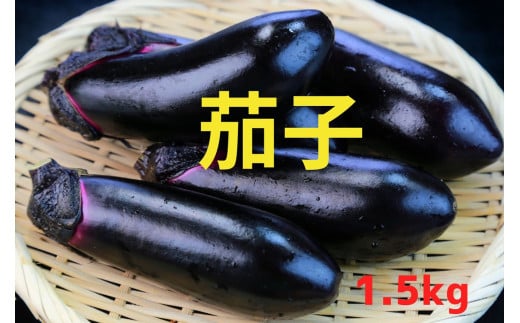 【予約受付中・令和7年7月中旬頃から発送】茄子（黒福）1.5kg（9本以上）【軍見洞農園】