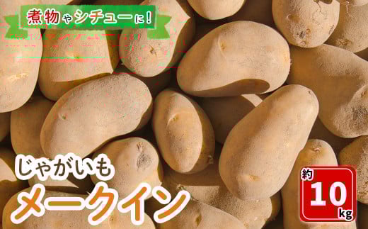 <7月中旬~9月中旬発送予定>じゃがいも メークイン(約10kg)【sm-DI001】【大原茂美】 2097917 - 鳥取県境港市