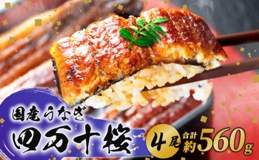 極上国産うなぎ四万十桜 蒲焼き約140g✕4尾 | うなぎ 鰻 蒲焼き 国産 四万十鰻 白焼き 調理済み タレ付き ギフト（お歳暮/お正月）高級 お取り寄せ グルメ 食べ比べ 冷凍 2064697 - 高知県南国市