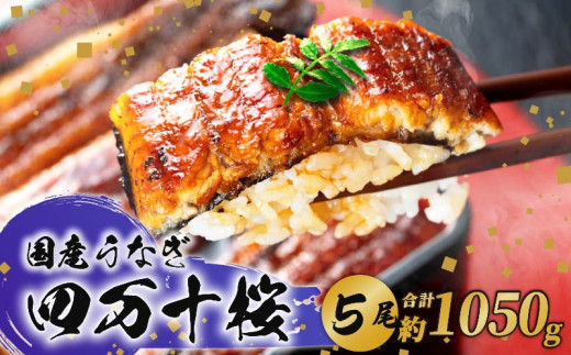 極上国産うなぎ四万十桜 蒲焼き約210g✕5尾 | うなぎ 鰻 蒲焼き 国産 四万十鰻 白焼き 調理済み タレ付き ギフト（お歳暮/お正月）高級 お取り寄せ グルメ 食べ比べ 冷凍 2065741 - 高知県南国市