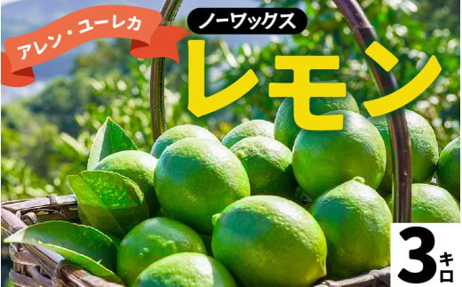 【期間限定】 淡路島産 アレン・ユーレカレモン 3kg 国産レモン 淡路島 瀬戸内レモン 檸檬 lemon 柑橘 レモネード  レモンサワー