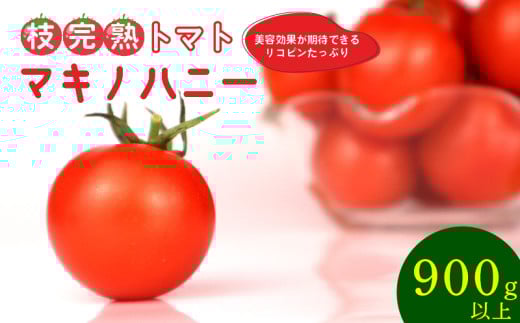 トマト 中玉 900g 以上 マキノハニー 枝完熟 トマト トマトップ 高 リコピン うまみ 甘い 新鮮 野菜 産地直送 やさい ビタミン 静岡県 牧之原市