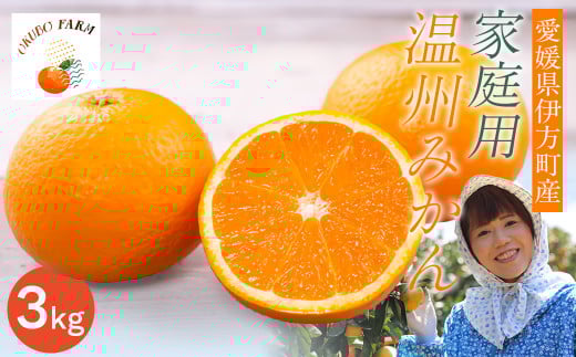 【先行予約】【家庭用】清見タンゴール 3kg ※北海道・沖縄・離島への配送不可（2026年3月中旬より順次発送）  【 ふるさと納税 人気 おすすめ ランキング 柑橘 みかん ミカン 清見タンゴール 清見 フルーツ 果物 OKUBO FARM 愛媛県産 家庭用 愛媛県 伊方町 送料無料 】 IKTAT005 