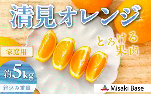 【先行受付】【家庭用】清見オレンジ 5kg ※離島への配送不可 （2026年3月中旬より順次発送）  【ふるさと納税 人気 おすすめ ランキング みかん 柑橘 ミカン 蜜柑 mikan 果物 清見 清見オレンジ フルーツ 糖度 甘い きよみ タンゴール 温州 オレンジ 家庭用 おすそ分け Misaki Base 愛媛県 伊方町 送料無料】 IKTAB007 