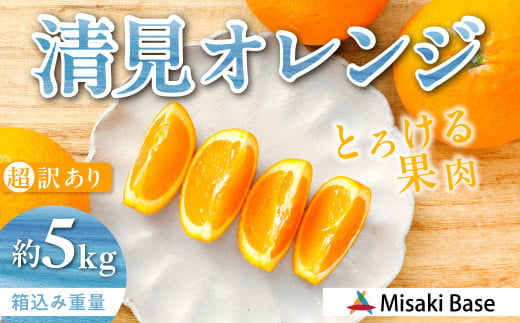 【先行受付】【※超訳あり】清見オレンジ 5kg ※離島への配送不可 （2026年3月中旬より順次発送）  【ふるさと納税 人気 おすすめ ランキング みかん 柑橘 ミカン 蜜柑 mikan 果物 清見 清見オレンジ フルーツ 糖度 甘い きよみ タンゴール 温州 オレンジ 家庭用 おすそ分け 訳あり Misaki Base 愛媛県 伊方町 送料無料】 IKTAB009 
