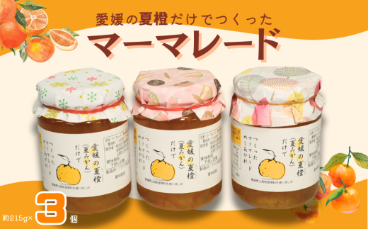愛媛の夏橙だけでつくった マーマレード 3個セット