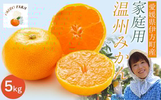 【先行予約】【家庭用】温州みかん 5kg ※北海道・沖縄・離島への配送不可 （2025年12月1日より順次発送予定）  【 ふるさと納税 人気 おすすめ ランキング 柑橘 みかん ミカン フルーツ 温州みかん 温州ミカン 温州蜜柑 果物 OKUBO FARM 愛媛県産 家庭用 愛媛県 伊方町 送料無料 】 IKTAT003 