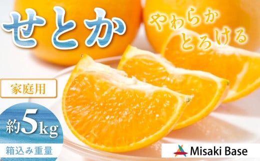 [先行予約][家庭用]せとか 約5kg ※離島への配送不可(2026年3月より順次発送) [ふるさと納税 人気 おすすめ ランキング みかん 柑橘 ミカン 蜜柑 mikan 果物 フルーツ 糖度 甘い せとか 家庭用 おすそ分け Misaki Base 愛媛県 伊方町 送料無料] IK