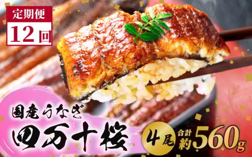 【12回定期便】極上国産うなぎ四万十桜　蒲焼き約140g✕4尾|うなぎ 鰻 蒲焼き 定期便 国産 四万十鰻 白焼き 調理済み タレ付き 頒布会 ギフト（お歳暮/お正月）高級 お取り寄せ グルメ 食べ比べ 冷凍 2070225 - 高知県南国市