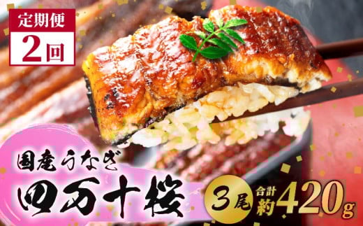 【2回定期便】極上国産うなぎ四万十桜　蒲焼き約140g✕3尾|うなぎ 鰻 蒲焼き 定期便 国産 四万十鰻 白焼き 調理済み タレ付き 頒布会 ギフト（お歳暮/お正月）高級 お取り寄せ グルメ 食べ比べ 冷凍 2070212 - 高知県南国市