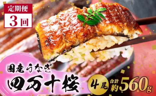【3回定期便】極上国産うなぎ四万十桜　蒲焼き約140g✕4尾|うなぎ 鰻 蒲焼き 定期便 国産 四万十鰻 白焼き 調理済み タレ付き 頒布会 ギフト（お歳暮/お正月）高級 お取り寄せ グルメ 食べ比べ 冷凍 2070220 - 高知県南国市