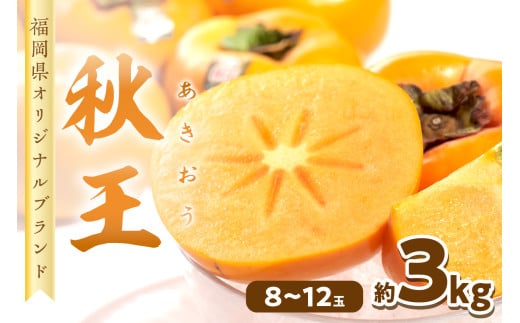 秋王(あきおう) 柿 約3kg箱(8-12玉)【011-0068】 2153439 - 福岡県中間市