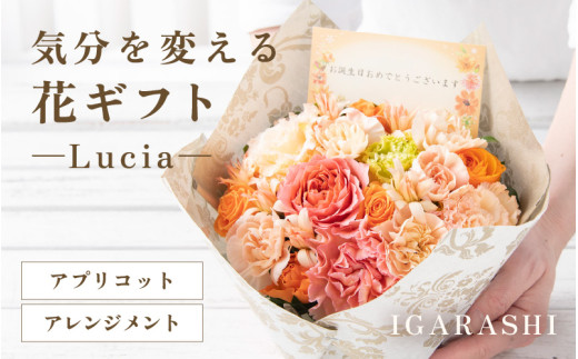 気分を変える花ギフト -Lucia- (アレンジメント・アプリコット) [aw062-a002_05] 1018393 - 福井県あわら市