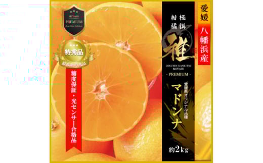 極撰柑橘＜雅プレミアム＞糖度保証・光センサー 合格品「 マドンナ 」約2キロ＜D39-61＞【1614244】 2073705 - 愛媛県八幡浜市