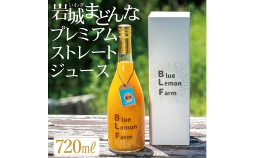 愛媛　ブルーレモンファームの岩城まどんな プレミアムストレートジュース　720ml【1619436】 2097948 - 愛媛県上島町