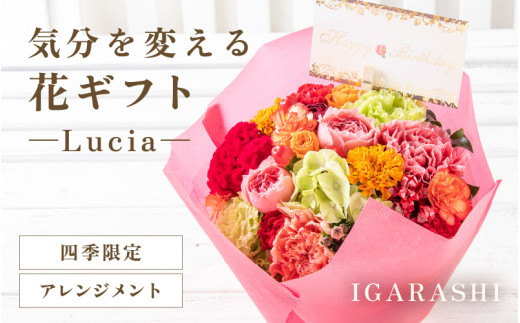 気分を変える花ギフト -Lucia- (アレンジメント・四季限定アイテム) [aw062-a002_09] 1018395 - 福井県あわら市
