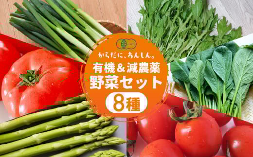 㓛農野菜8種類セット 8種 野菜 セット 有機栽培 ミニトマト アスパラ トマト ほうれん草 水菜 春菊 ネギ 小松菜 高糖度 新鮮 産地直送 季節の野菜 詰め合わせ やさい 自然 安心安全 旬 送料無料 愛知県 豊橋市