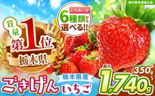 【栃木県共通返礼品】【チョイス限定企画】【先行予約】とちあいかデラックス  290g×6| いちご とちあいか 大粒 新鮮 甘い 数量 限定 美味しい スイーツ ジューシー 果物 共通返礼品 フルーツ デザート 栃木県 那珂川町 送料無料