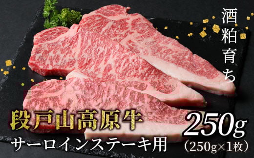  酒粕育ち 幻の牛 段戸山高原牛 サーロイン ステーキ用 １枚 (250g×１) 国産牛 牛肉 ステーキ 蓬莱泉 国産 牛 バーベキュー ブランド牛 お祝い -077