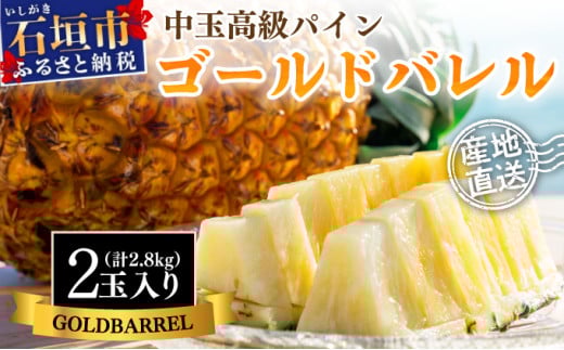 【先行予約】石垣島産 中玉ゴールドバレル2玉 合計約2.8kg《2025年夏季 順次発送》【 沖縄 石垣 パイン パイナップル フルーツ くだもの 果物 産地直送 】SI-113 2098029 - 沖縄県石垣市