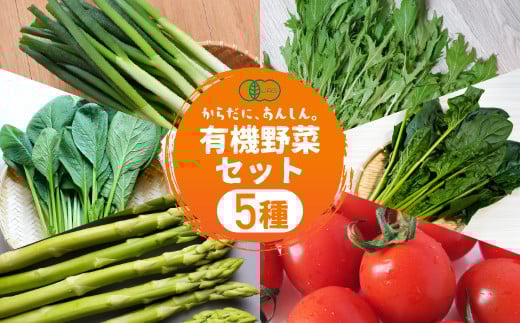 有機野菜セット 5種 野菜 セット 有機栽培 ミニトマト アスパラ ほうれん草 水菜 春菊 高糖度 新鮮 産地直送 季節の野菜 詰め合わせ やさい 自然 安心安全 旬 有機 送料無料 愛知県 豊橋市