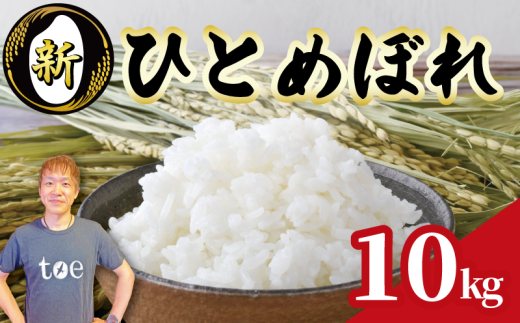 【予約受付】9月中旬より順次発送 数量限定 米 ひとめぼれ 10kg お米 白米 新米 一等米 白米 精米 ご飯 白 ごはん おいしい 国産 edama 静岡県 牧之原市