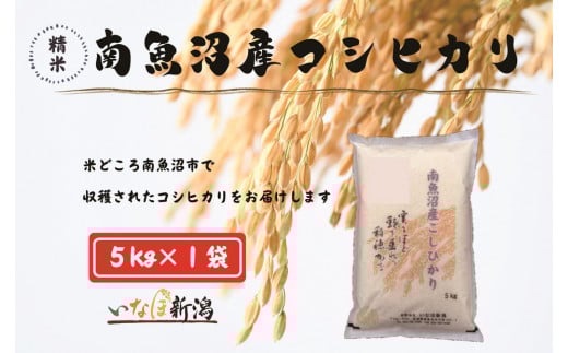 【令和7年度産新米予約】南魚沼産コシヒカリ 白米 5kg【2025年10月上旬より順次発送予定】 2097542 - 新潟県南魚沼市