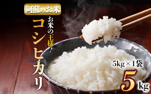 【選べる内容量】阿蘇の美味しいお米をお届け！5kg コシヒカリ 農家指定無 令和6年産 お米 米 コシヒカリ 精米 白米  ふるさと納税 おすすめ 令和6年度 5kg 阿蘇米 阿蘇のお米 ご飯 ごはん 美味しい 寒暖差 湧き水 お取り寄せ 食卓 豪華 贅沢 自然 湧水 熊本県 阿蘇市 2097327 - 熊本県阿蘇市
