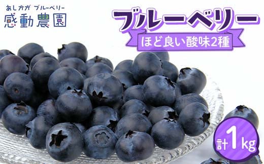 ブルーベリー ほどよい酸味2種セット 計1kg 冷蔵 栃木県 足利市 F7Z-1358