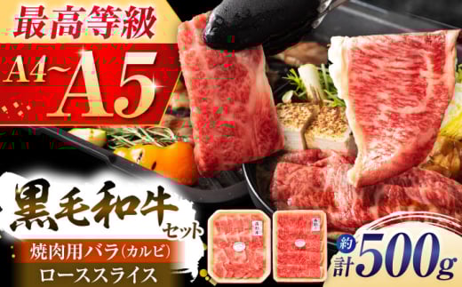 くまもと黒毛和牛「藤彩牛」2種の食べ比べ計500g 3900[株式会社フジチク] [BHAD010]