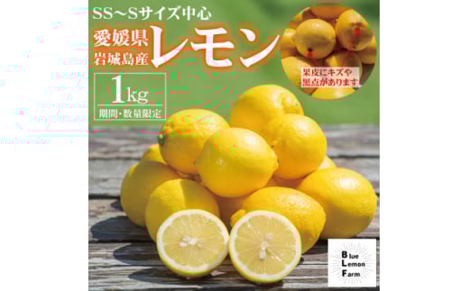 愛媛　ブルーレモンファームの訳ありレモン　1kg　＜冷蔵便＞期間・数量限定【1619476】 2097947 - 愛媛県上島町