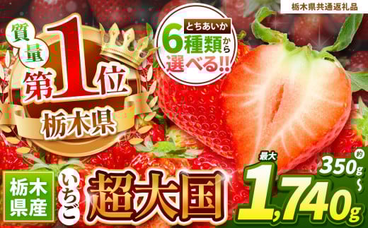 【栃木県共通返礼品】【先行予約】とちあいか３L以上ホール詰め | いちご日本一 応援  とちあいか 食べ比べ 数量 限定 共通 返礼品 ストロベリー 人気 果物 フルーツ 限定品種  栃木県 特産品 下野市 送料無料 2090457 - 栃木県下野市