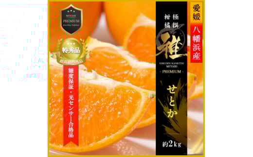 極撰柑橘＜雅プレミアム＞糖度保証・光センサー合格品「 せとか 」約2キロ＜D39-62＞【1614238】 2073704 - 愛媛県八幡浜市