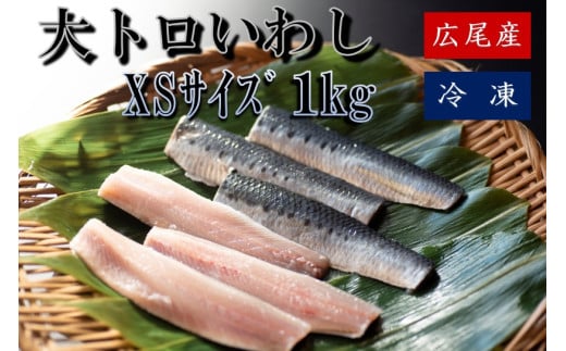 大トロいわし　フィレ　ＸＳサイズ　1kg(AM0005)