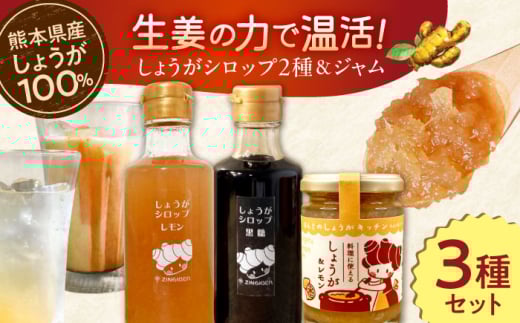 しょうが＆レモン ジャム　生姜 シロップ 2種 レモン・黒糖 セット【ジンジベル】 [AYAD010]