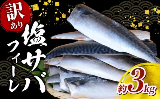 ＼最短7営業日以内発送／【 訳あり 】 塩サバ フィーレ 約 3kg 鯖 さば サバ 塩さば 塩鯖 人気 大容量 ボリューム 魚介 冷凍 訳有り お取り寄せ グルメ おかず 惣菜 弁当 切身 便利 簡単 調理 焼魚 照り焼き 竜田揚げ 海鮮 水産 魚 不揃い 送料無料 千葉県 旭市 株式会社ヤマゴ ymg001