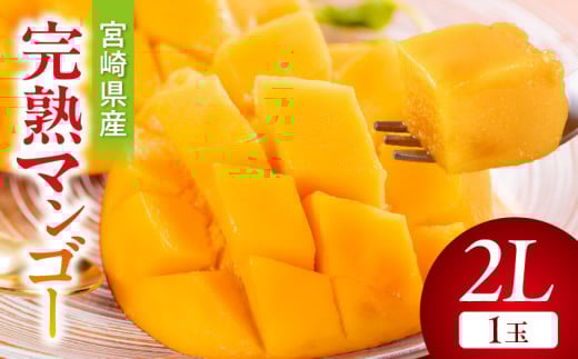 【期間・数量限定】宮崎県産完熟マンゴー2L(1玉)_M359-002-01