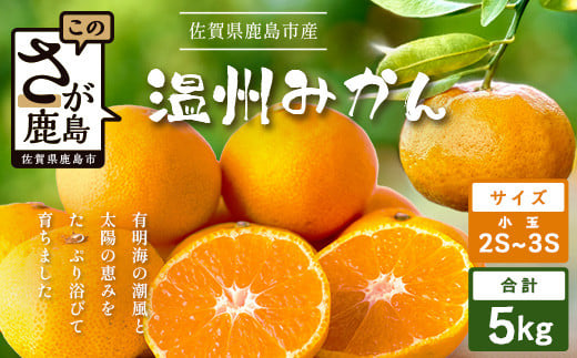温州みかん 小玉(SS,3S)5kg　A-205