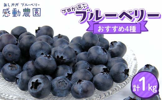 ブルーベリー プロが選ぶおすすめ4種セット 計1kg 冷蔵 栃木県 足利市 F7Z-1356