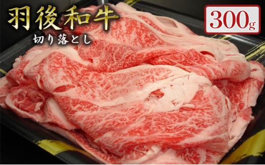 羽後和牛 贅沢切り落とし300g 276091 - 秋田県羽後町